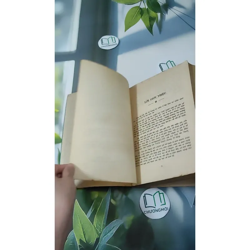 [MIỄN PHÍ BỌC SÁCH] [XƯA] Quản Trị Căn Bản (The Basic Principles Of Management) (1992) - Trịnh Vân Thanh 1018883