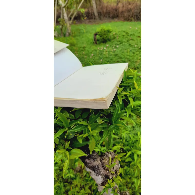 Giữa thế gian vội vã 740933