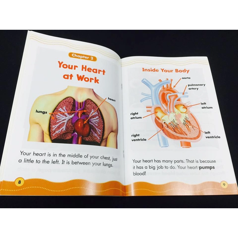 Science vocabulary readers (34 cuốn tiếng Anh) 360441