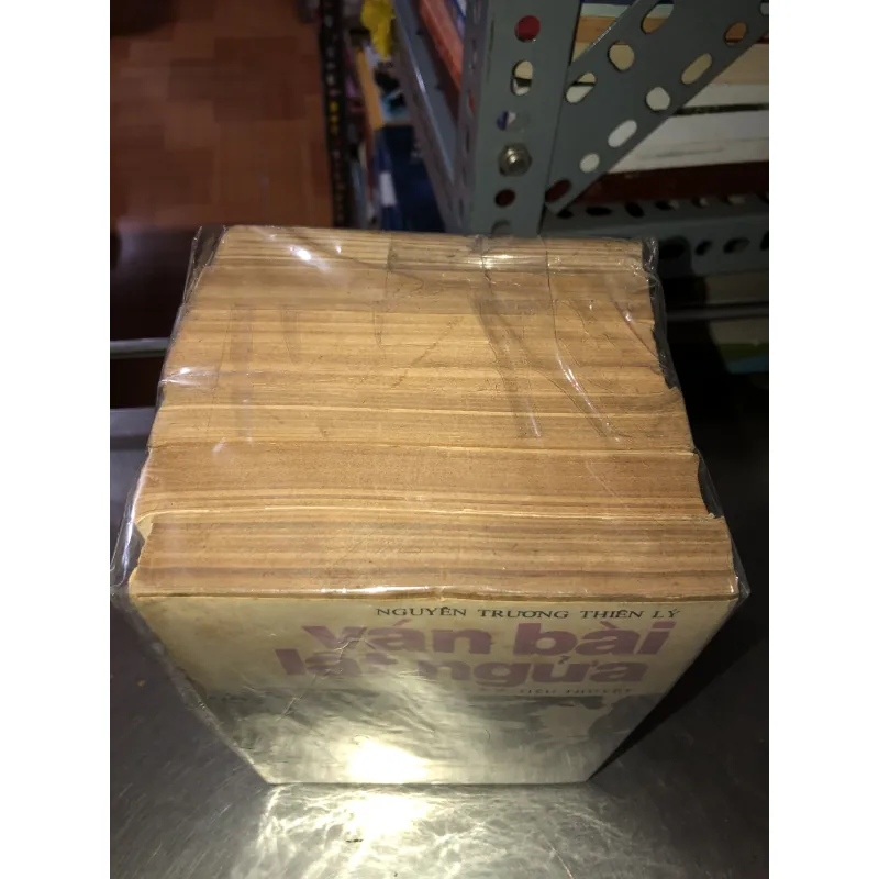 Ván bài lật ngửa - Nguyễn Trương Thiên Lý 931251