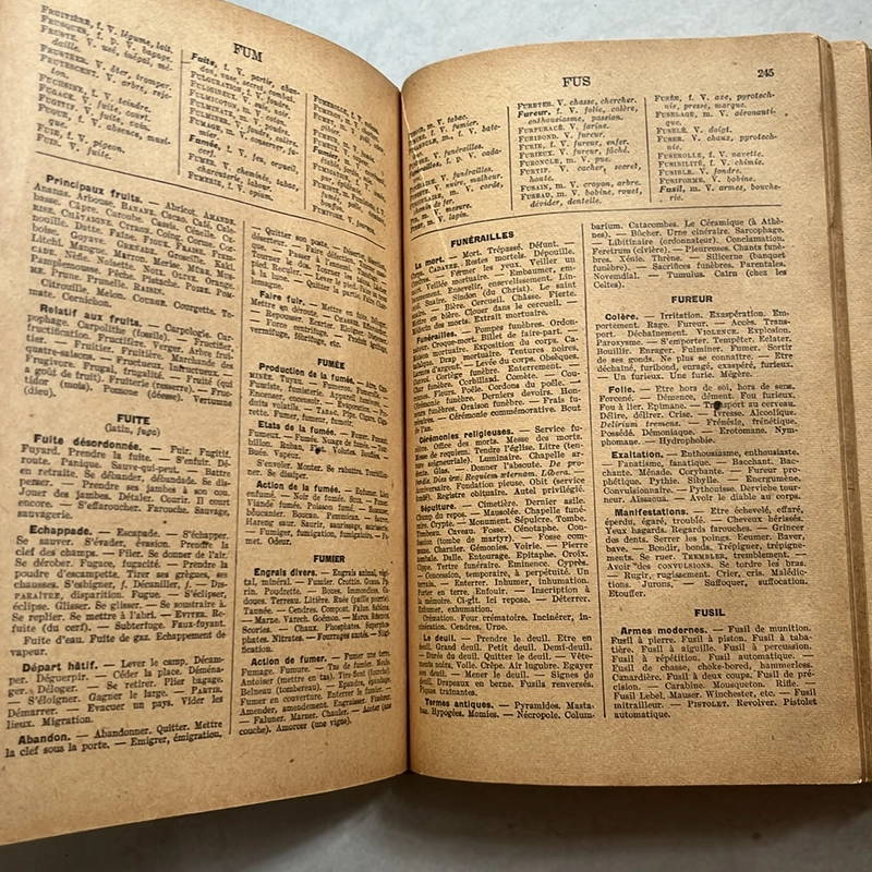 Dictionnaire Analogique — Từ điển Tương tự (Analog) — 1936s 495713