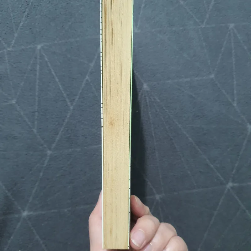 "Nếu biết trăm năm là hữu hạn" - Phạm Lữ Ân 797952