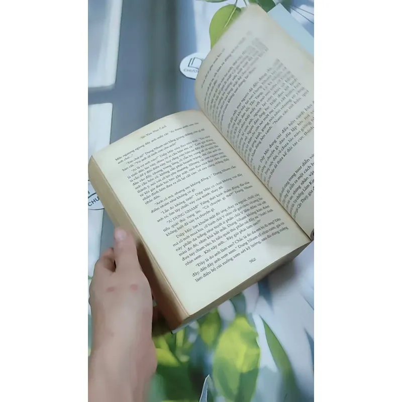 Ai Còn Chờ Ai Giữa Mùa Hoa Nở - Sói Xám Mọc Cánh 744737