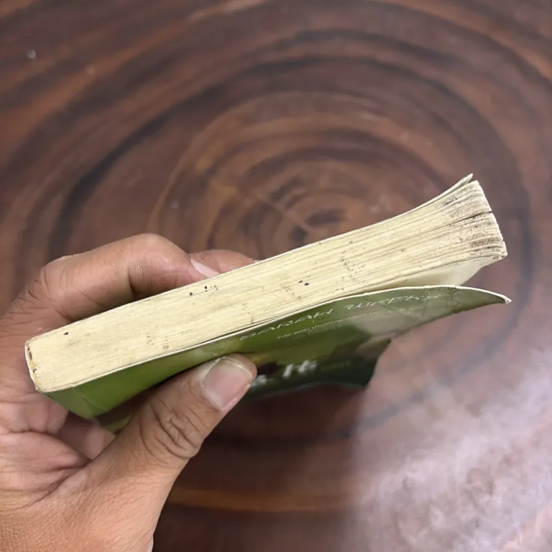 [Có Mốc Và Ẩm Nhẹ] - SoB.It, Bí Ẩn Một Cái Tên - SARAH WEEKS - 2011 977188