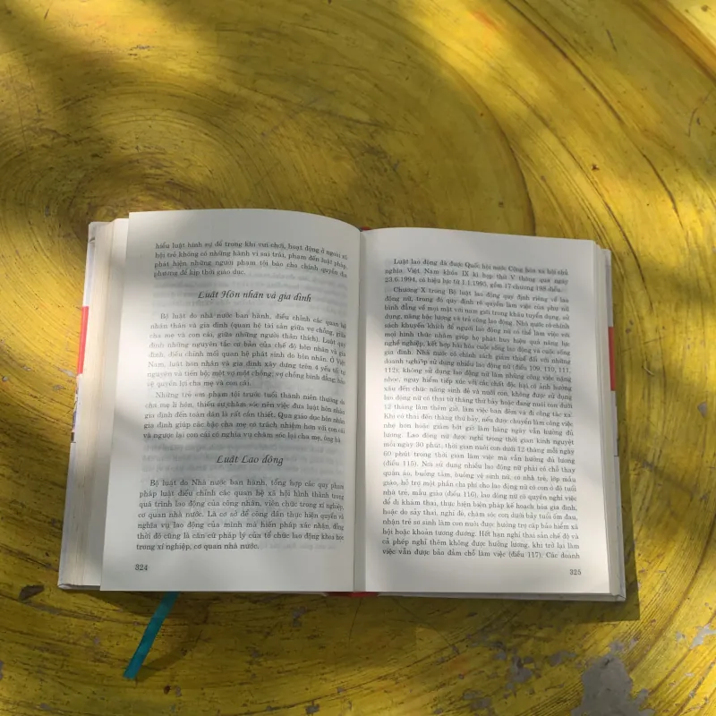 TỪ ĐIỂN BÁCH KHOA PHỤ NỮ VIỆT NAM bìa cứng  781694