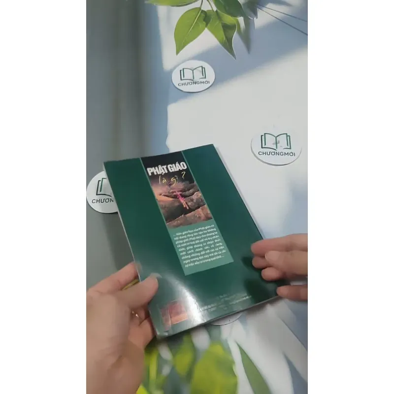 Phật Giáo Là Gì? 715592