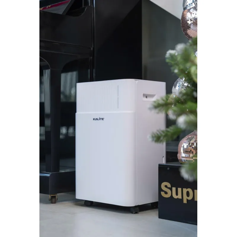 ✨ Máy hút ẩm Kalite DrySense A6 – Dễ sử dụng, an toàn, phù hợp gia đình có trẻ nhỏ! 730758