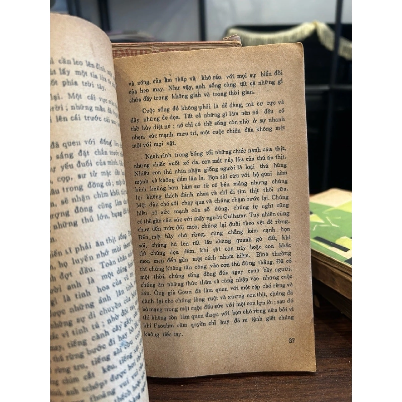 Đoạt lửa -Tủ sách truyện cá nước 927710