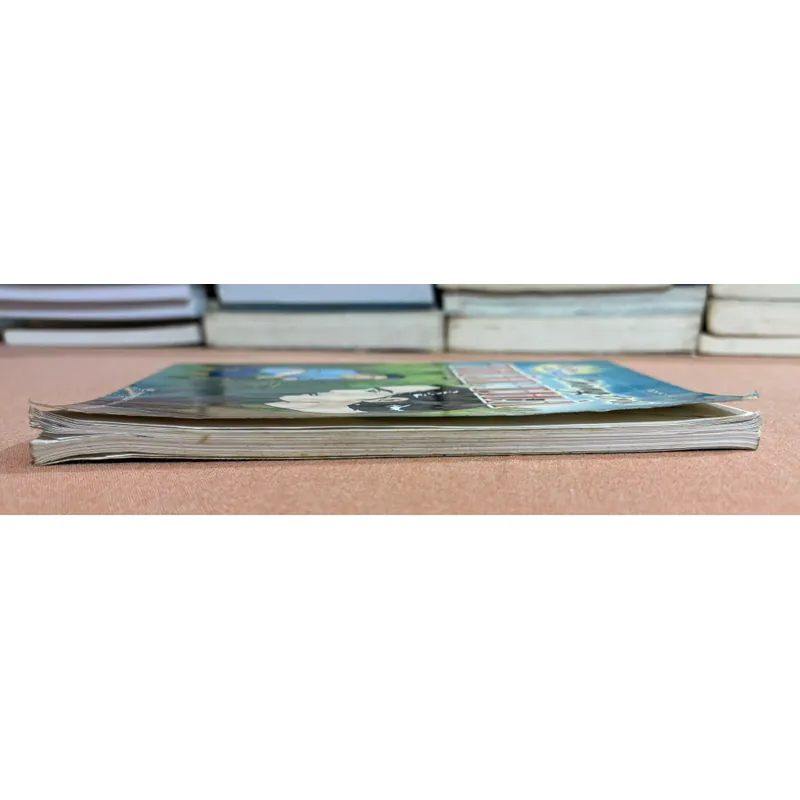 Chàng trai thật thà 🌊 599577