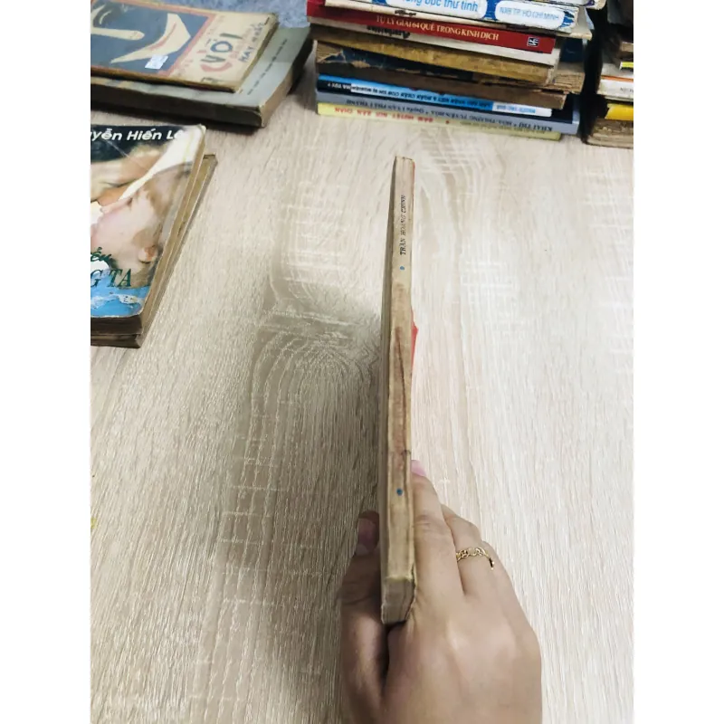 NGUYỄN LONG CHÂU ĐI TÌM CÕI PHẬT 928945