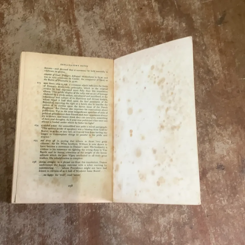 THE BLACK TULIP -ALEXANDRE DUMAS 761620