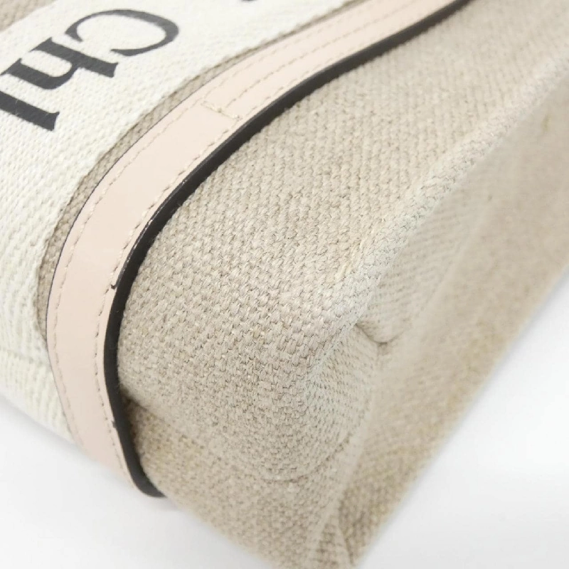 Túi xách mini Woody Chloe CHC22AP237 I26 608727