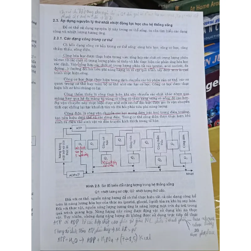 Vật lý-lý sinh y học - Bộ môn Y vật lý (Trường ĐH Y Hà Nội) 575274
