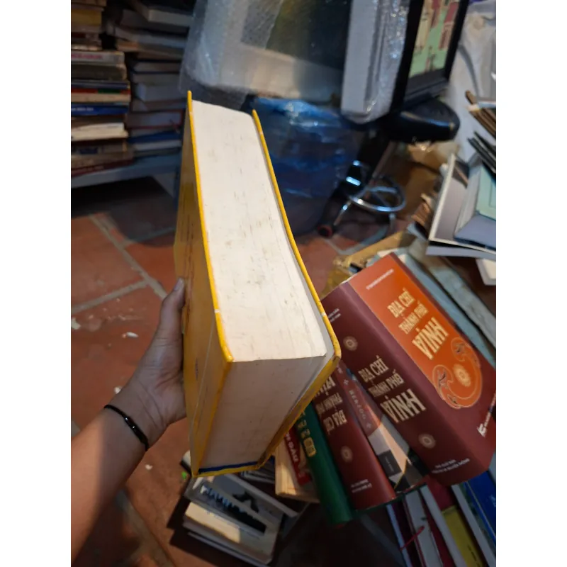 Việt sử cương mục tiết yếu 932130