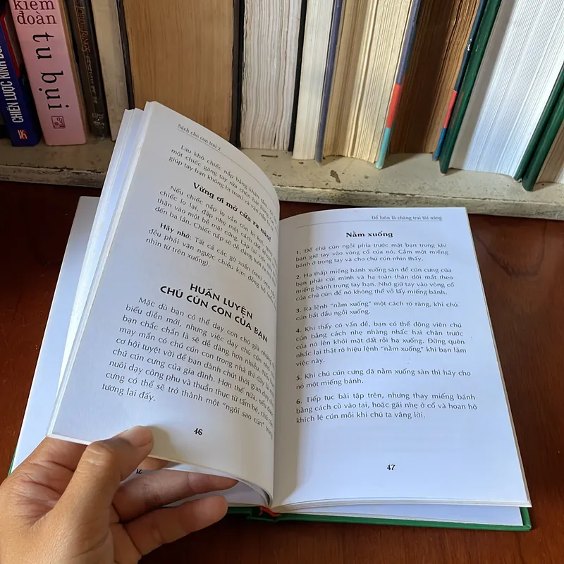 II Tựa Sách: Sách Cho Con Trai _ Để Luôn Là Chàng Trai Tài Năng (Tập 2) - 2011 576535