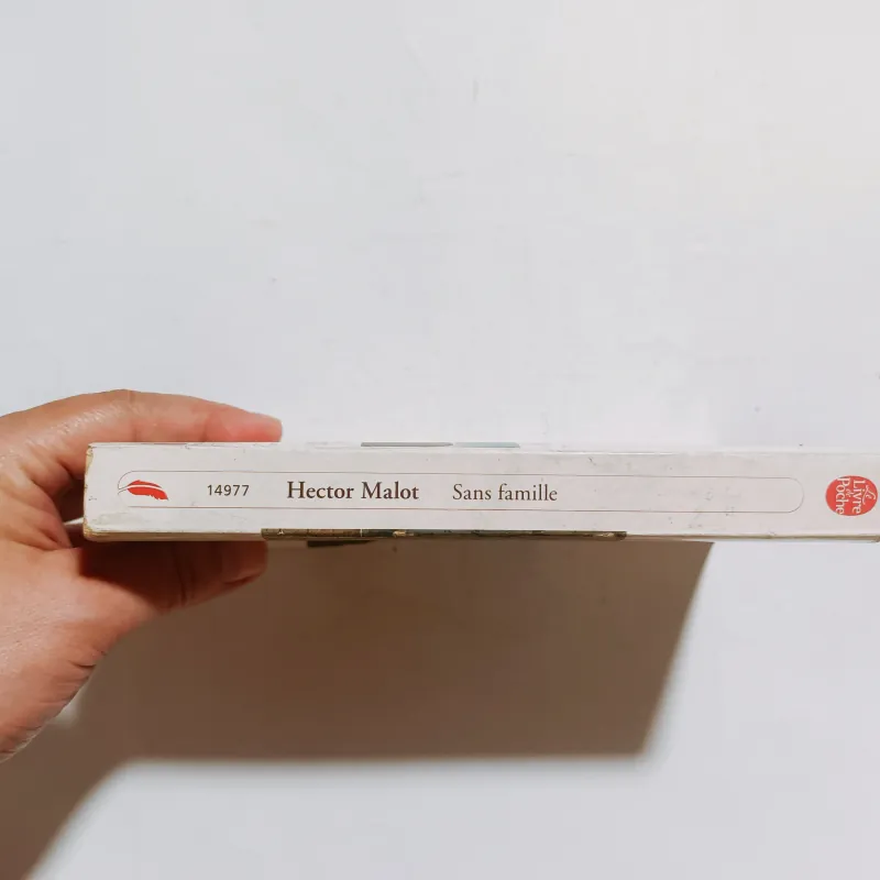 Sans Famille - Hector Malot 975834