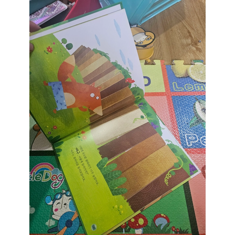 Sách học tiếng Hàn bìa cứng In màu như hình  418795