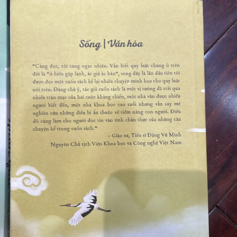 NHÂN QUẢ & Nhân quả không miễn trừ ai : Nguyễn Chu Phác - tâm linh  1040069