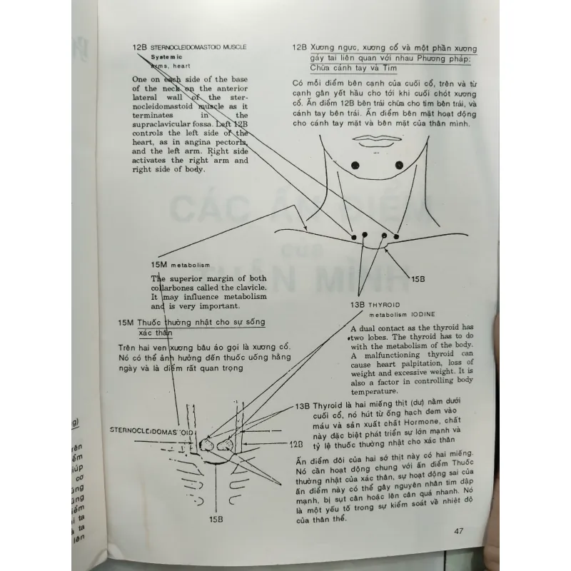 BẤM HUYỆT CÁCH CHỮA VÀ SỰ ÍCH LỢI - FM. HOUSTON, DC 996086