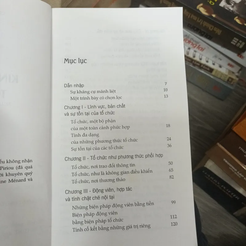 Kinh tế học tổ chức - Claude Menard 933877