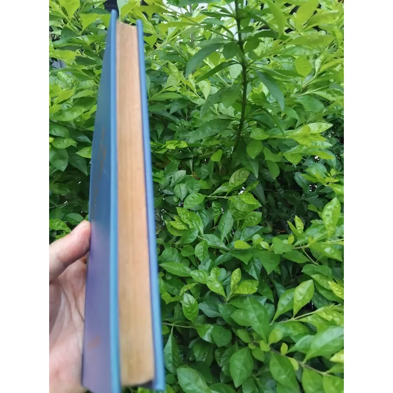 Cây sáo nàng Tan tập truyện Albania 1004721