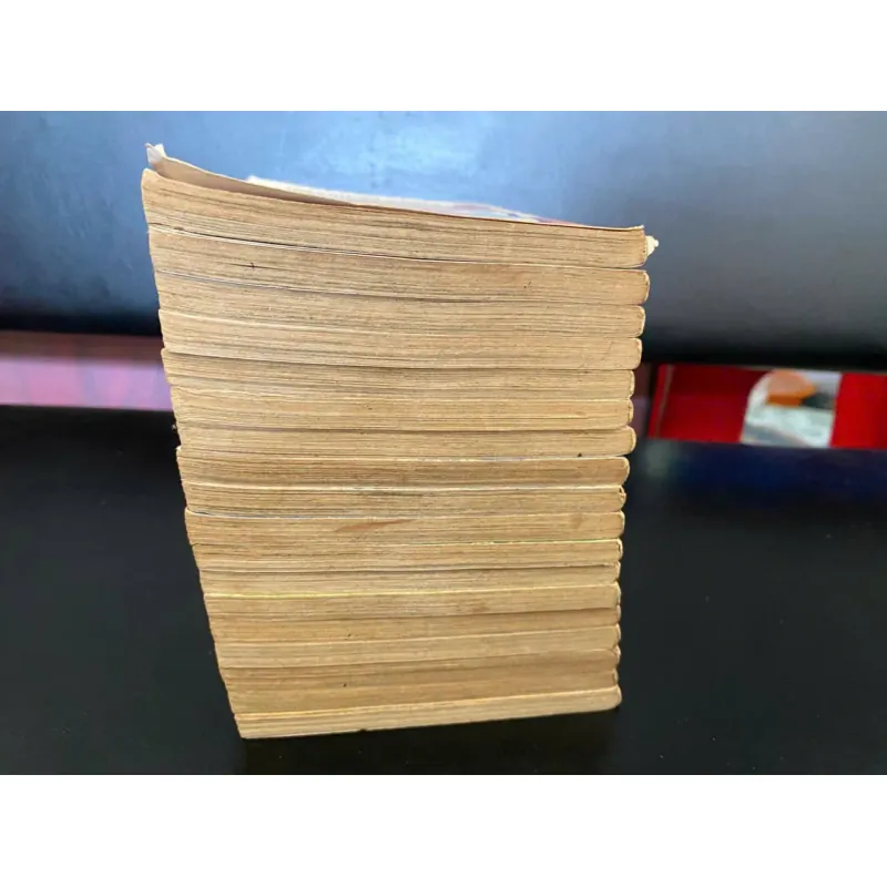 truyện tranh Bá tước tiểu thư (tên gốc: The Countess)  996319