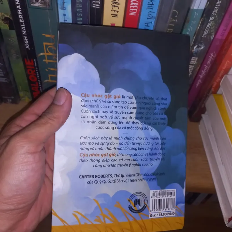 Cậu nhóc gặt gió 571185