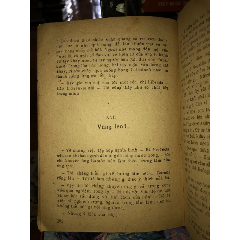 Đônha Perfêcta - Bênito Pêrex Galđôx 973949