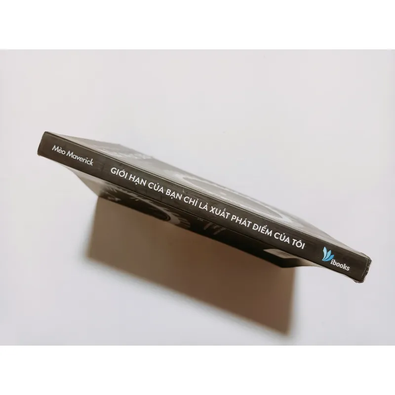 Giới Hạn Của Bạn Chỉ Là Xuất Phát Điểm Của Tôi 753452