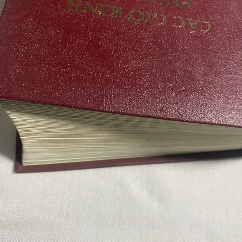 Các giờ kinh Phụng vụ - 2005 732428