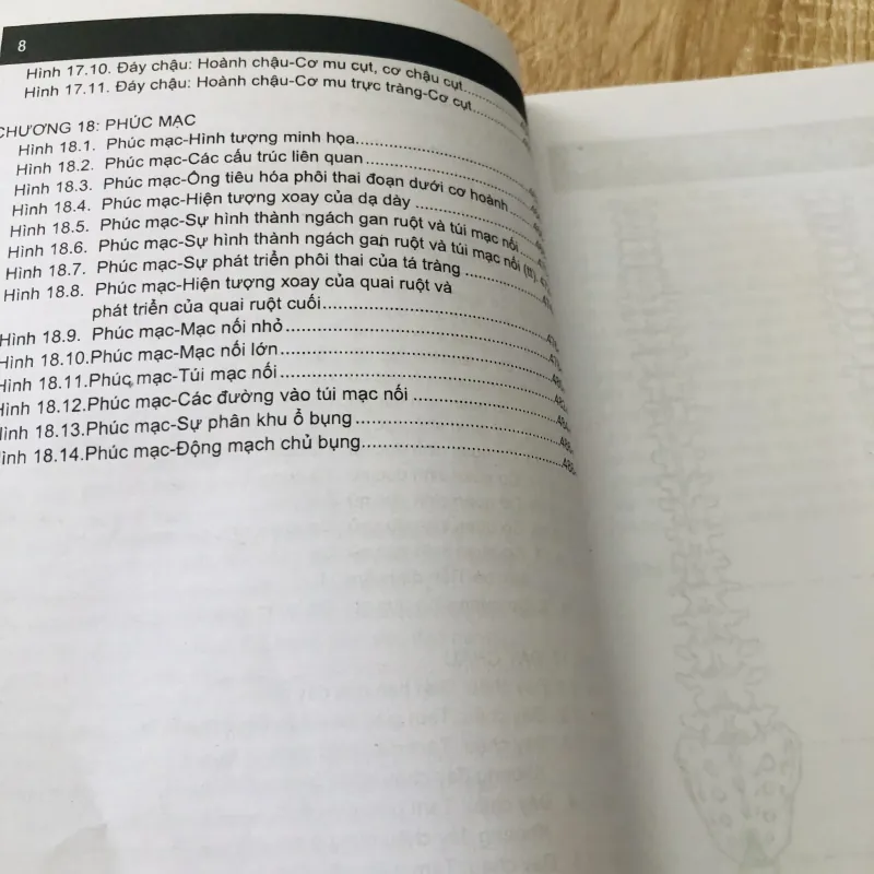 GIẢI PHẪU NGƯỜI - GIẢI PHẪU NGỰC BỤNG 989633