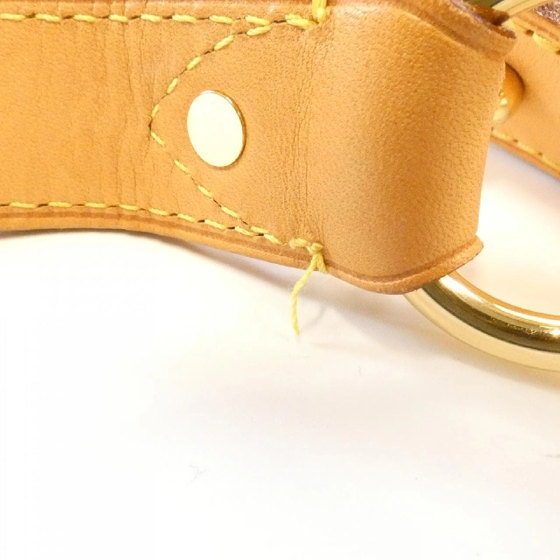 Túi xách vai Louis Vuitton Monogram Delightful MM M40353+J00109 608926