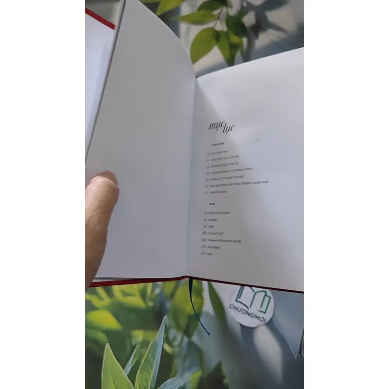 Em - Liêu Hà Trinh 990080