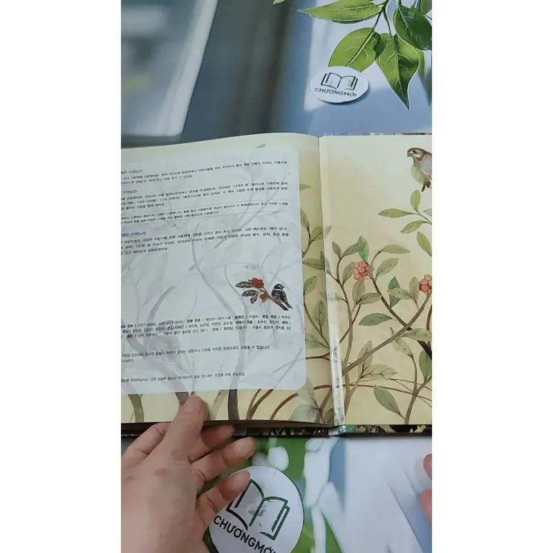 [Tặng nẹp góc] Truyện thiếu nhi Hàn Quốc: Moyamo Anu 37 -  모야모 아누와: 다정한 오누이 732034