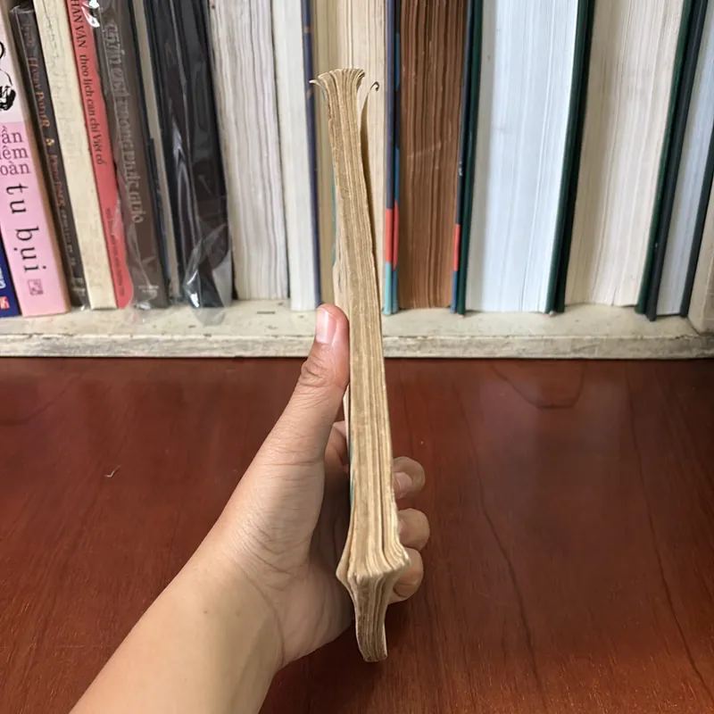 II Tiểu Thuyết Phản Gián: Thị Xã Vùng Biên - Mai Ngữ - 1987 595966