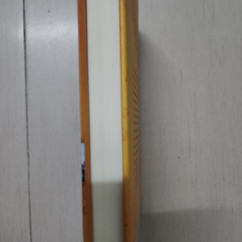 Sách Cội nguồn Lịch sử vĩ đại của vạn vật của David Christian mới 99% 530294