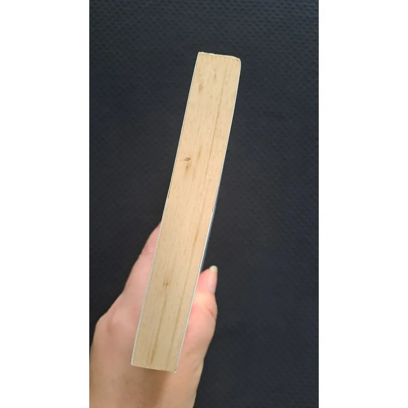 Tâm Can - Sói xám mọc cánh 1019667