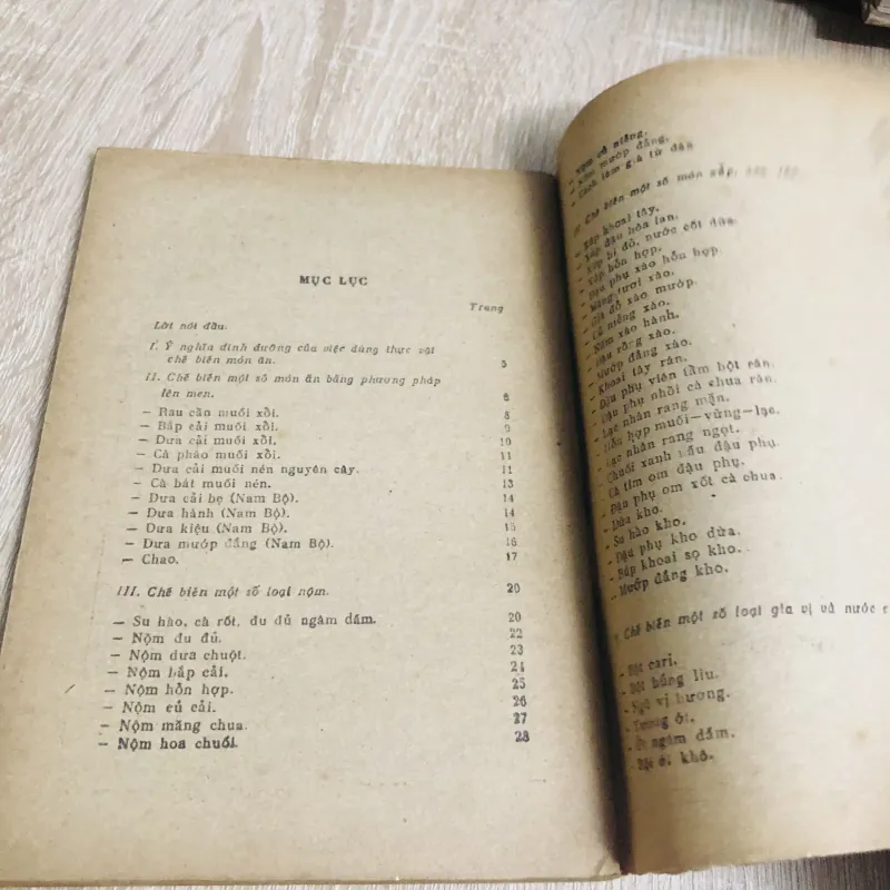 CHẾ BIẾN MÓN ĂN TỪ THỰC VẬT 956920