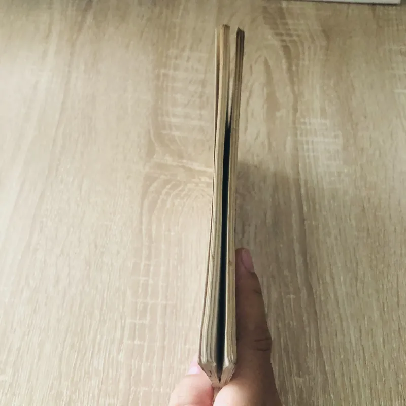 TRĂNG KHÔNG MÙA ( Mường Mán) - giải thưởng cuộc vận động sáng tác văn học tuổi hai mươi  1029976