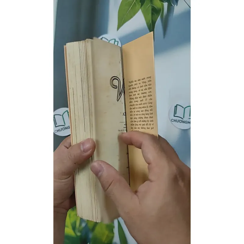 Vì con cần có mẹ - ATY 798384