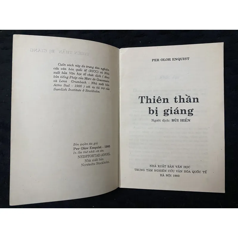 Thiên thần bị giáng- Nhà văn Bùi Hiển dịch 1002907