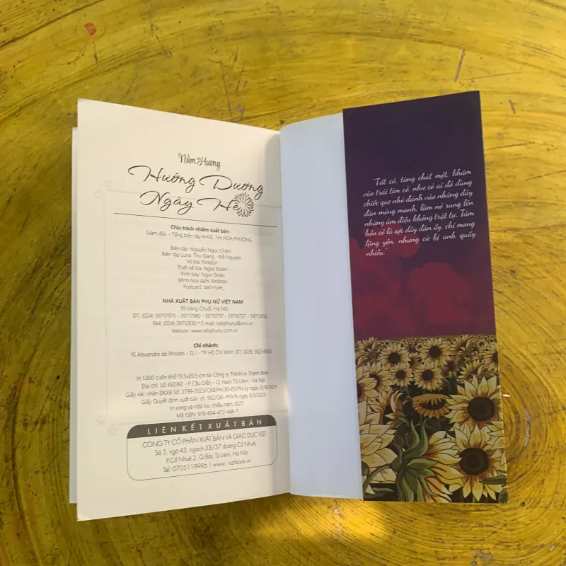 HƯỚNG DƯƠNG NGÀY HÈ - NẤM HƯƠNG 1003964
