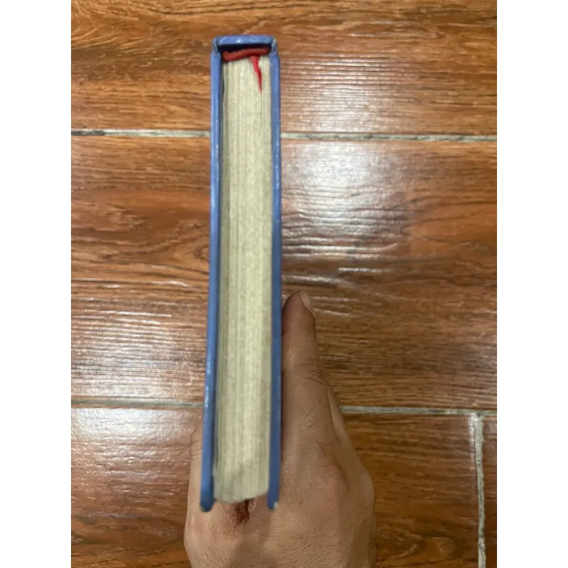 Đất rừng phương Nam (9) 558137