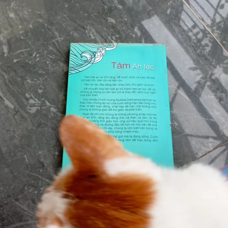 Tâm An Lạc, Đức Nhiếp Chính Vương  786643