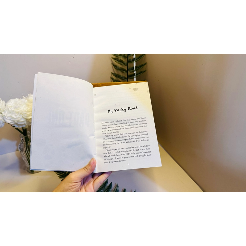 [Sách tiếng Anh 2hand] Like new 90% - Dirt - Ilse Goshner Orenstein 494073