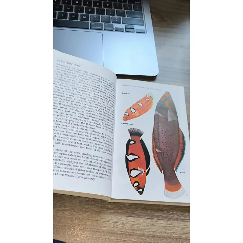 Tropical Marine Aquaria by Graham F. Cox In Yugoslavia (Hamlyn Publishing Group) 791528