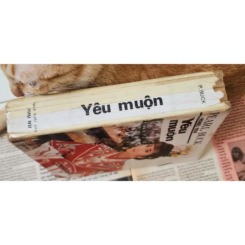 Pearl Buck - Tiểu thuyết YÊU MUỘN 703881