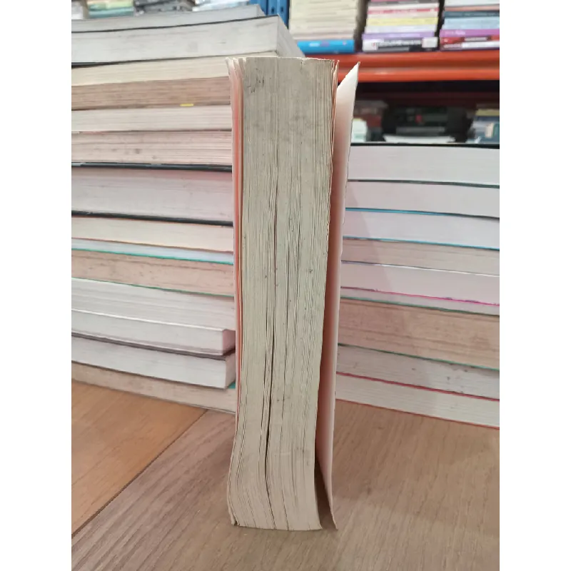 THE WIVES - LAUREN WEISBERGER 119473