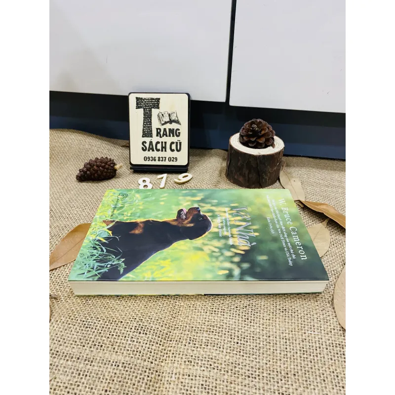  Về Nhà - A Dog's Way Home 776277