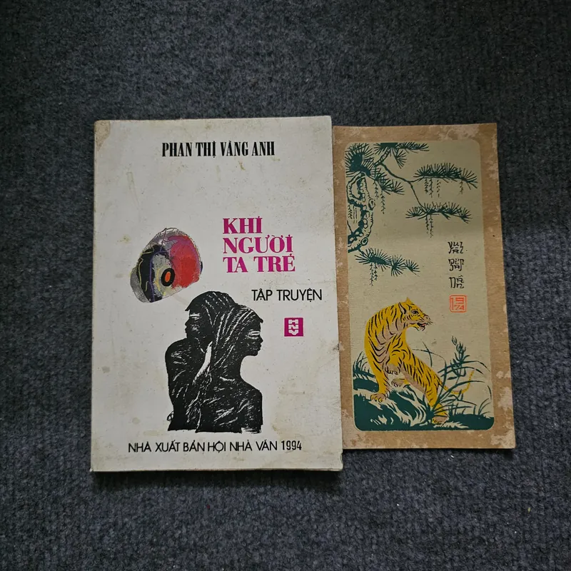 Khi người ta trẻ - phan thị vàng anh 736623